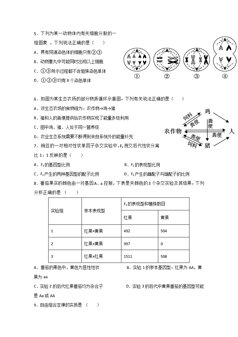 2020昌吉教育共同体高二下学期期中考试生物试题含答案02