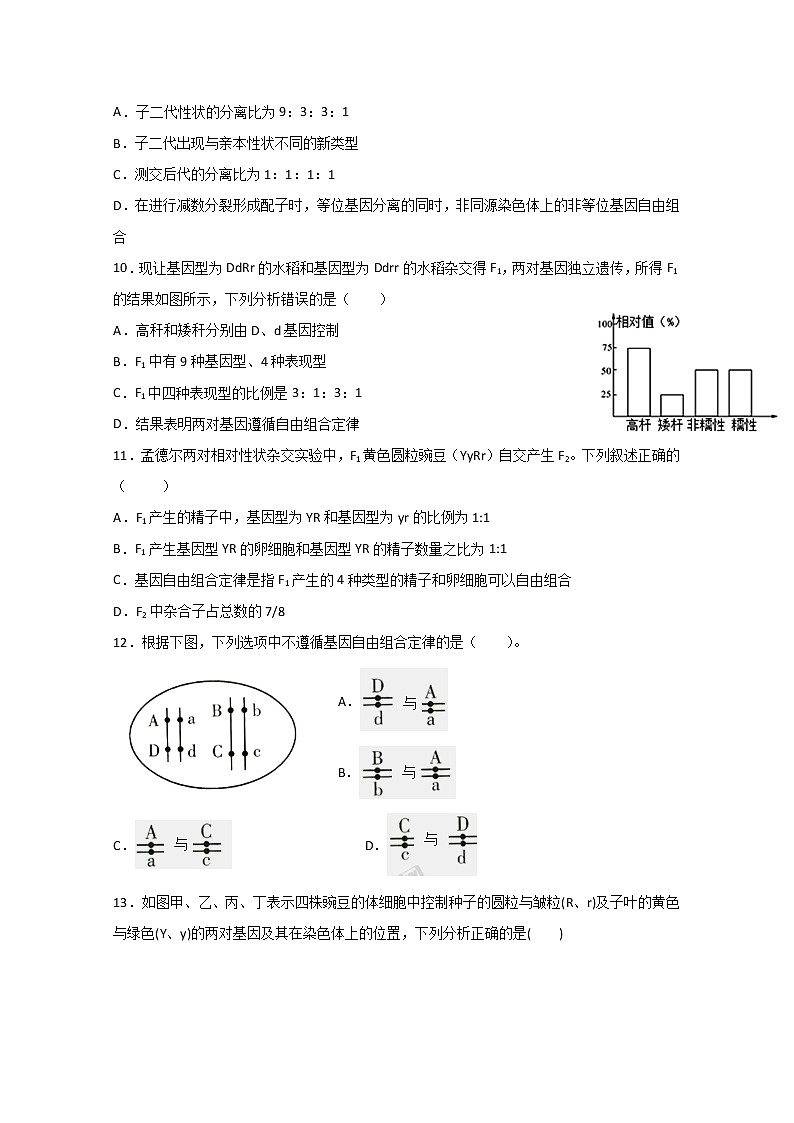 2020昌吉教育共同体高二下学期期中考试生物试题含答案03