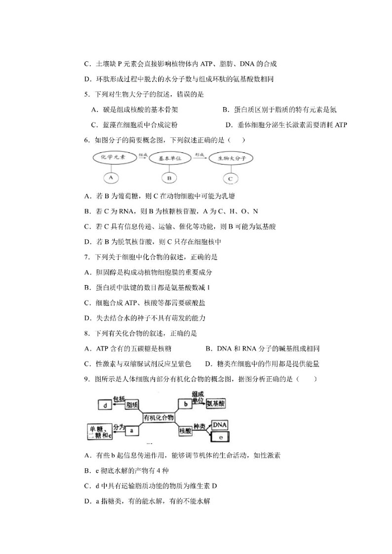 2020枣庄八中东校区高二下学期期中考试生物试题扫描版含答案02