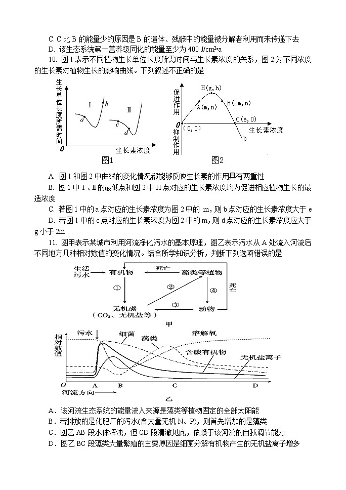 2020临沂罗庄区高二上学期期末考试生物试题含答案03