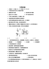 2020肃宁县一中高二上学期第三次月考生物试题含答案