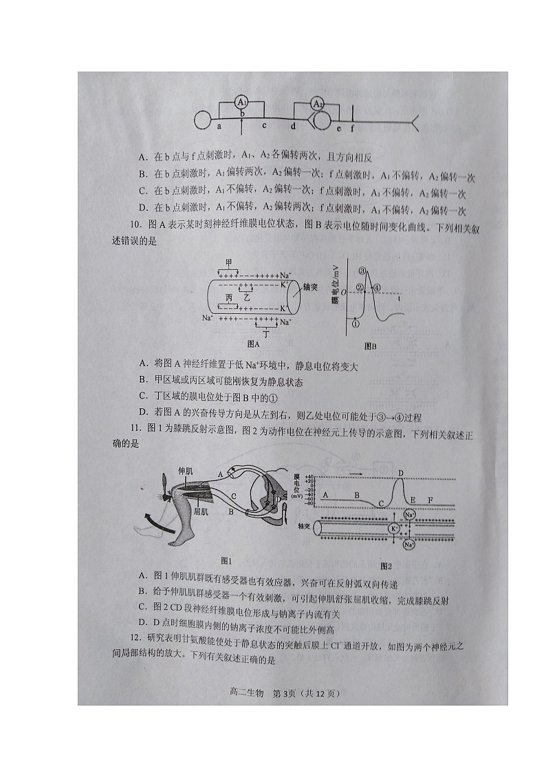 2020南阳高二上学期期中生物试题扫描版含答案03