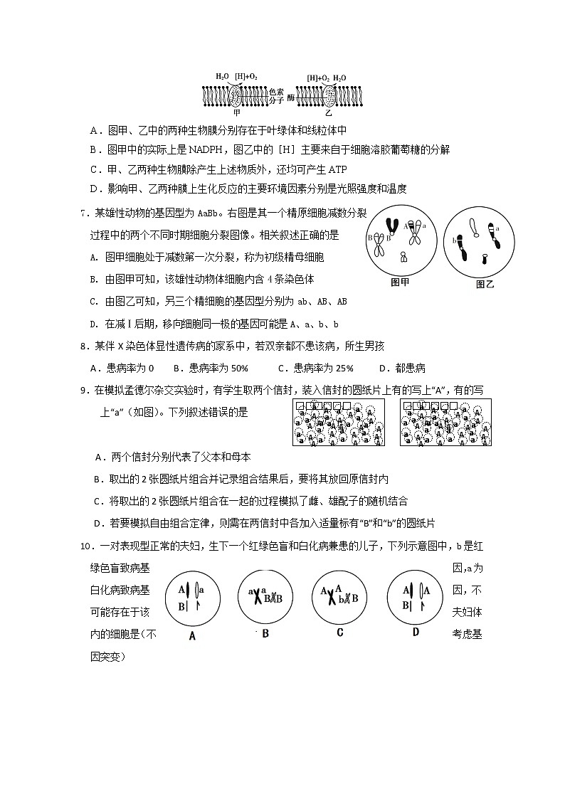 2020台州五校联考高二10月阶段性考试生物试题含答案第2页
