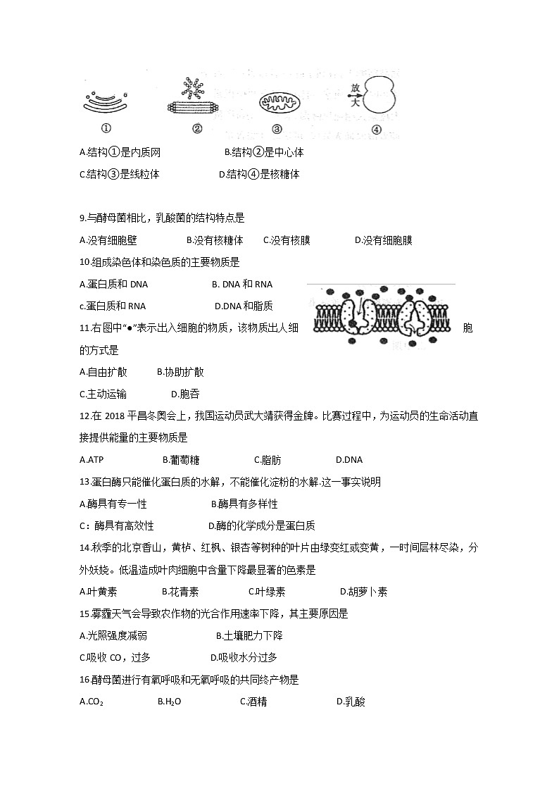 2020徐州高二上学期合格考学情调研生物试题含答案02