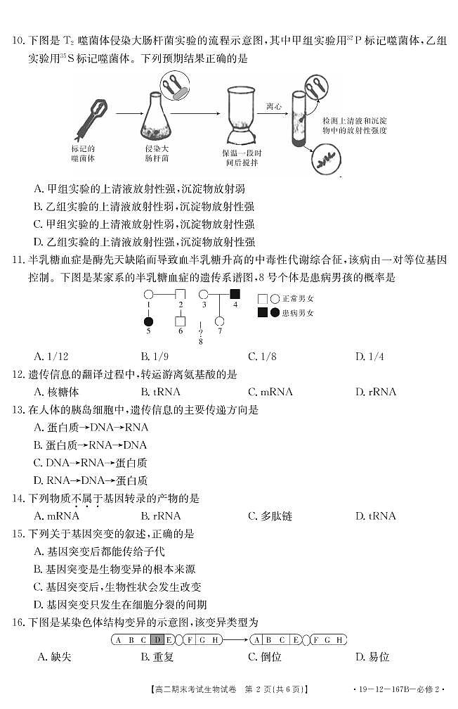生物(必修2)第2页