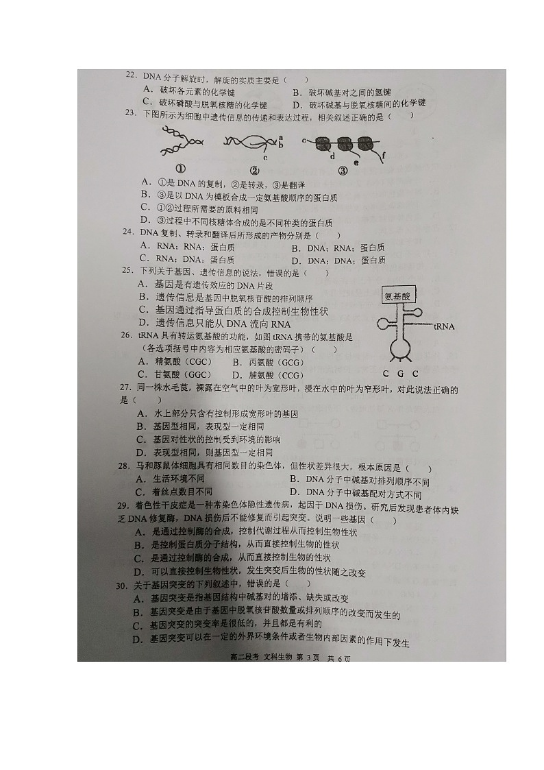 2020南宁二中高二上学期期中考试（文科）生物试题扫描版含答案03