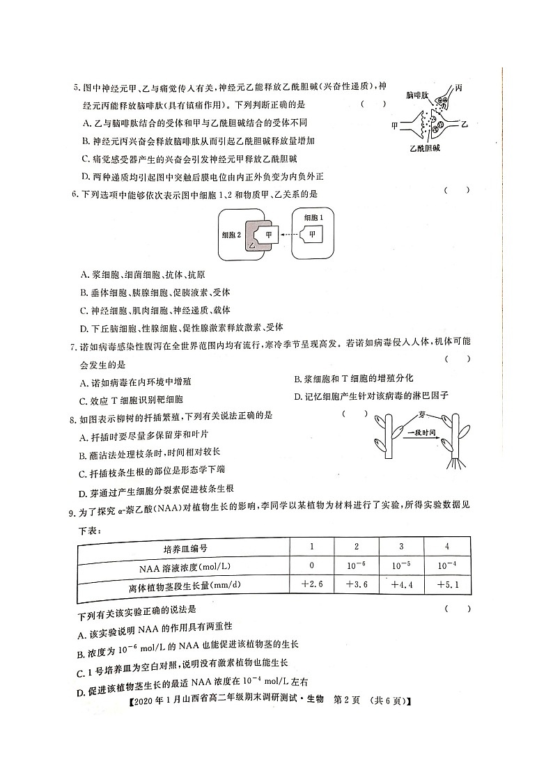 2020年1月山西省高二年级期末调研测试-生物第2页
