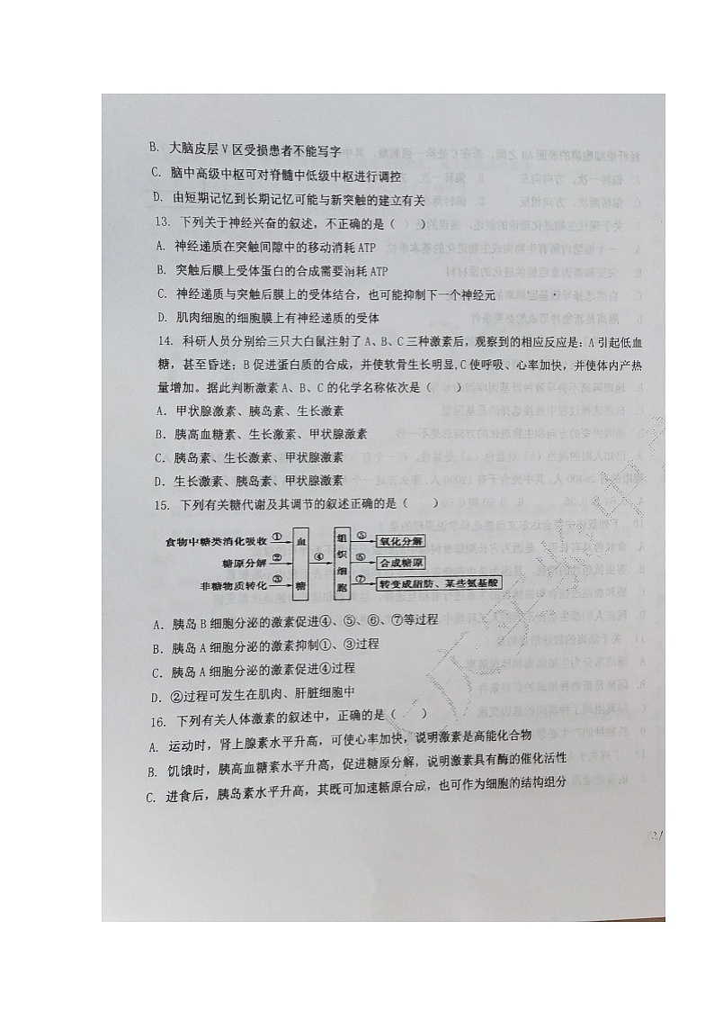 2020省大庆实验中学高二上学期期末考试生物（理）试题扫描版含答案03