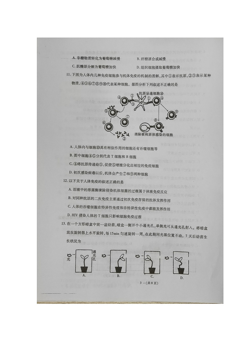 2020陕西省西藏民族大学附中高二上学期第二次月考生物试题扫描版缺答案第3页