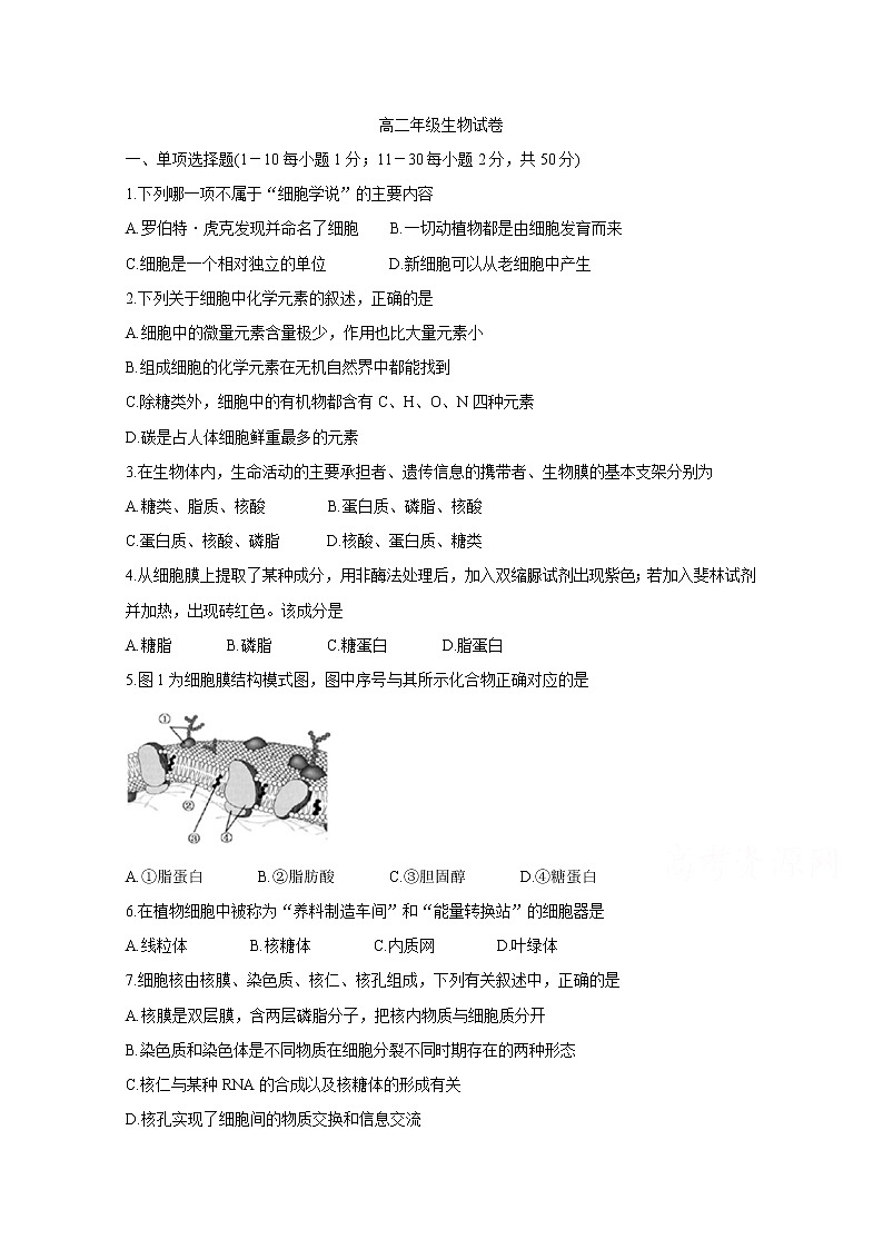 2020赣州十五县（）高二上学期期中考试生物含答案第1页