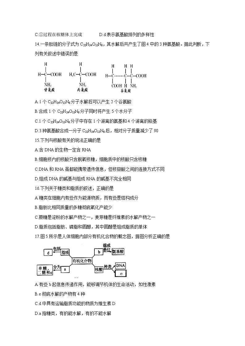 2020赣州十五县（）高二上学期期中考试生物含答案第3页