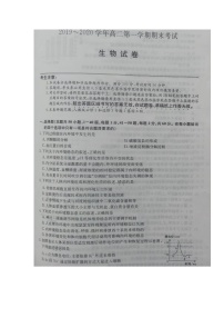 2020河北省枣强中学高二上学期期末考试生物试题扫描版含答案