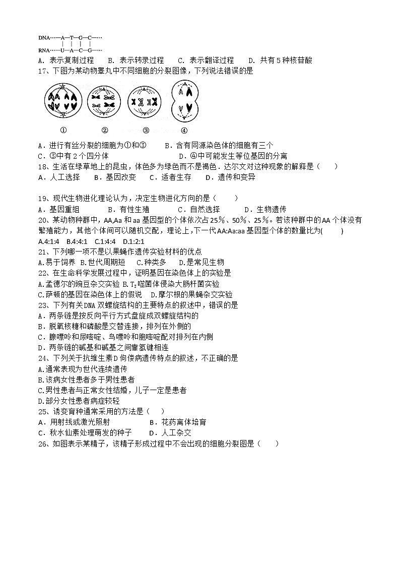 2020维吾尔自治区吐鲁番高昌区二中高二上学期期末考试生物试题含答案第3页