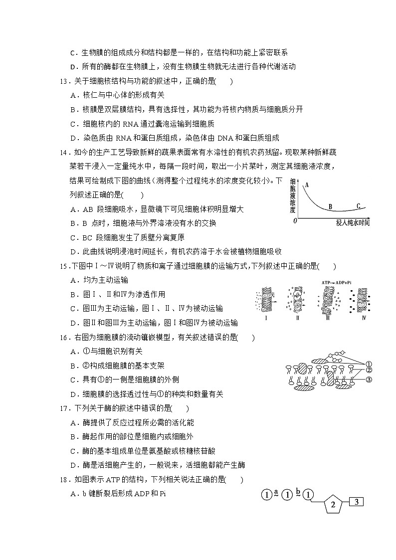 2020武威六中高二上学期第三次学段考试生物试题含答案第3页