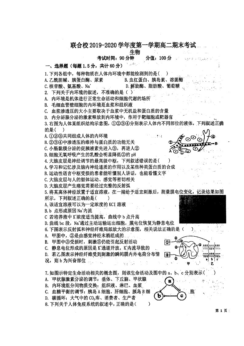 2020锦州联合校高二上学期期末考试生物试题扫描版含答案第1页