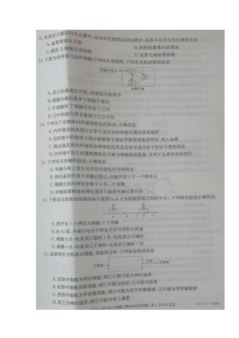 2020安徽省皖西南联盟高二上学期期末考试生物试题扫描版缺答案03