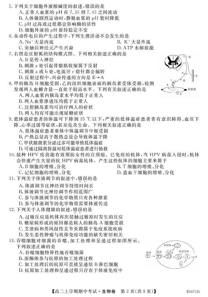 2020林州一中高二上学期期中考试生物试题PDF版含答案02