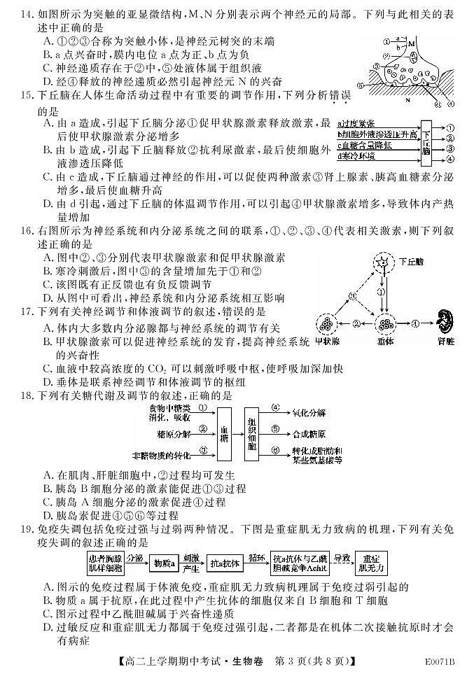 2020林州一中高二上学期期中考试生物试题PDF版含答案03