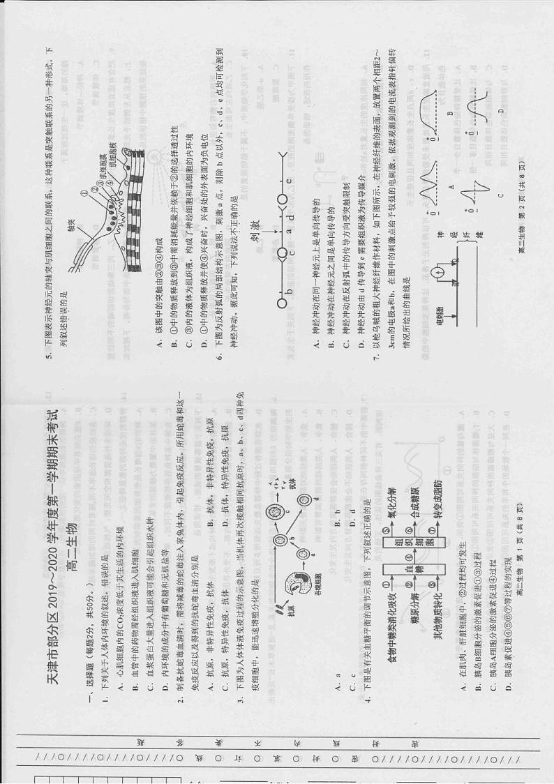 2020天津市部分区高二上学期期末考试生物试题PDF版含答案01