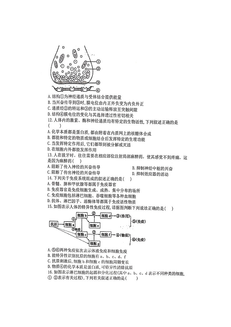 2020衡阳县四中高二上学期期中考试生物（重点班选科）试题（A卷）扫描版含答案第3页