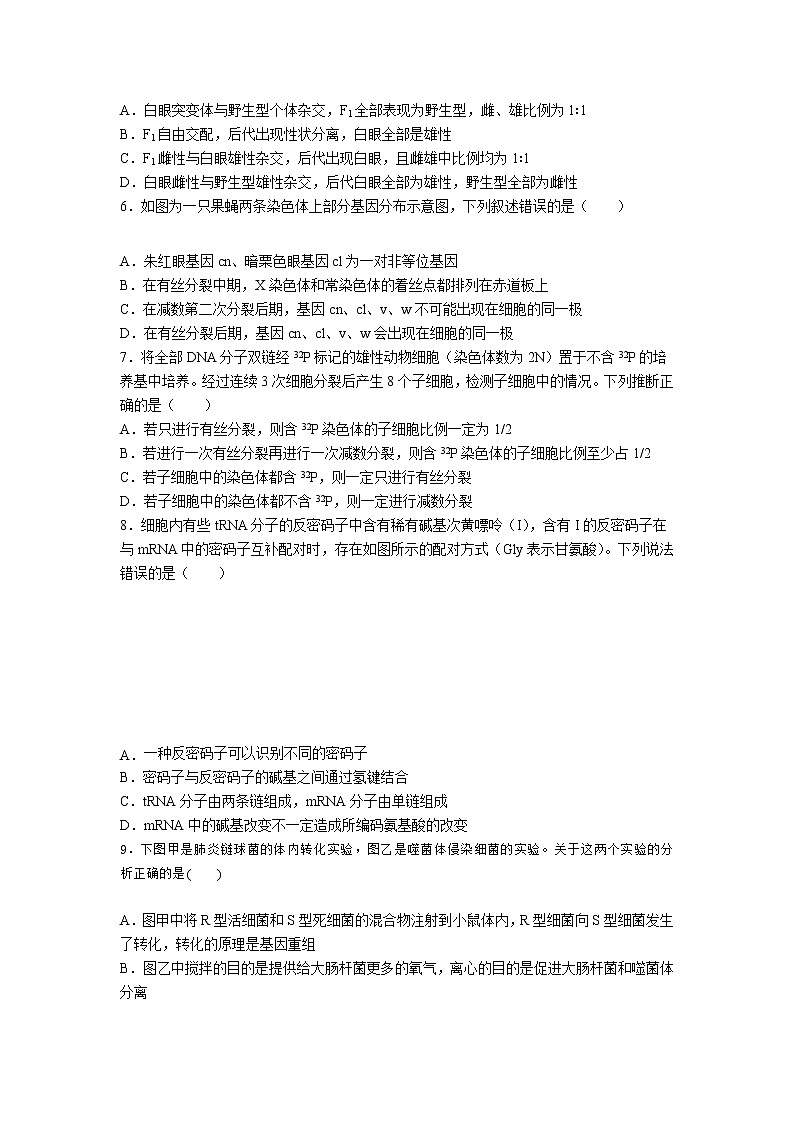 2021武汉蔡甸区汉阳一中高一下学期5月月考生物试卷含答案第2页
