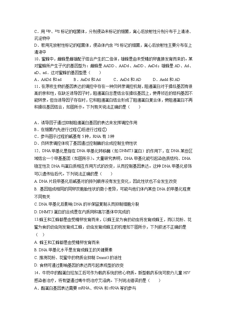 2021武汉蔡甸区汉阳一中高一下学期5月月考生物试卷含答案第3页
