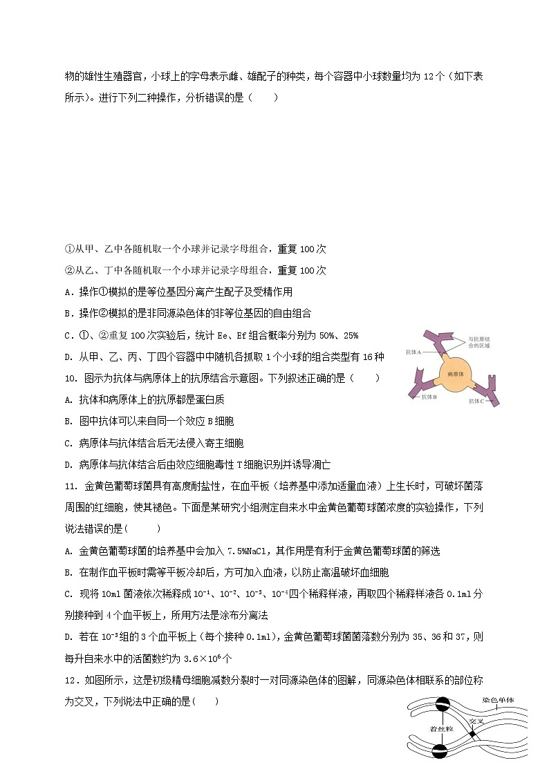 2021温州环大罗山联盟高一下学期期中联考生物试卷含答案03