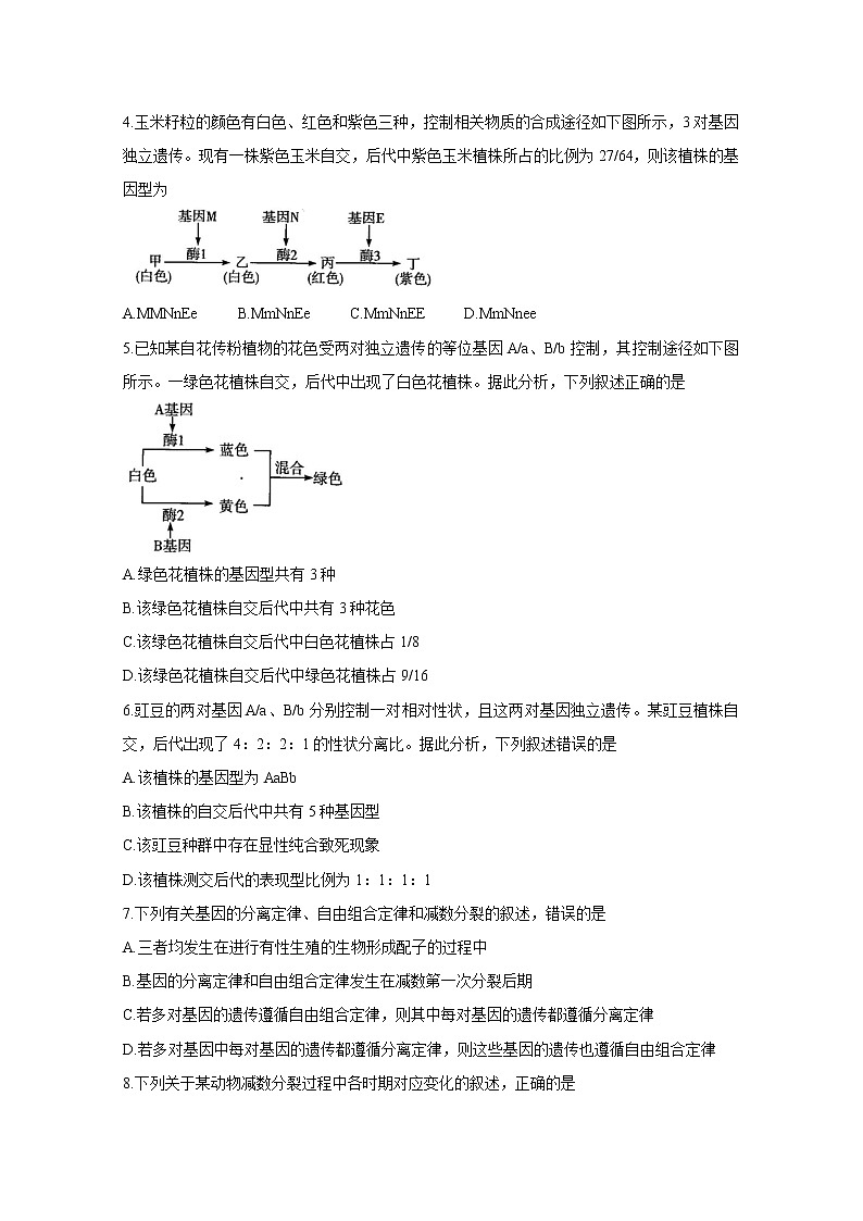 2021河南省天一大联考高一下学期期中考试生物含解析第2页