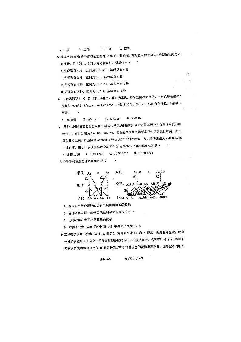 2021四川省仁寿一中南校区高一下学期期中考试生物试题扫描版含答案第2页