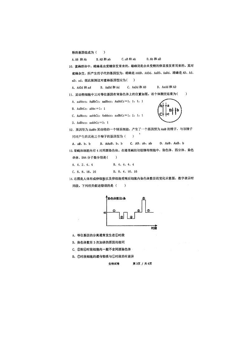 2021四川省仁寿一中南校区高一下学期期中考试生物试题扫描版含答案第3页