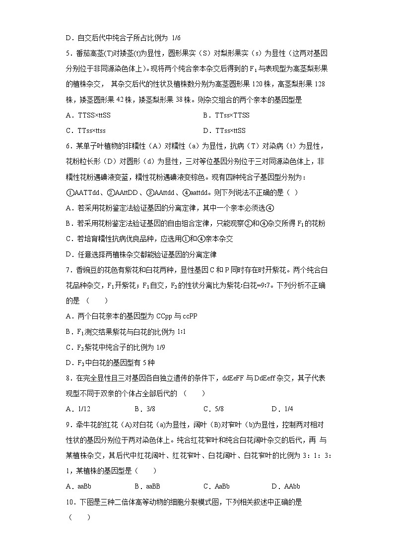 2021黄冈麻城麻城二中高一下学期期中考试生物试题含答案02