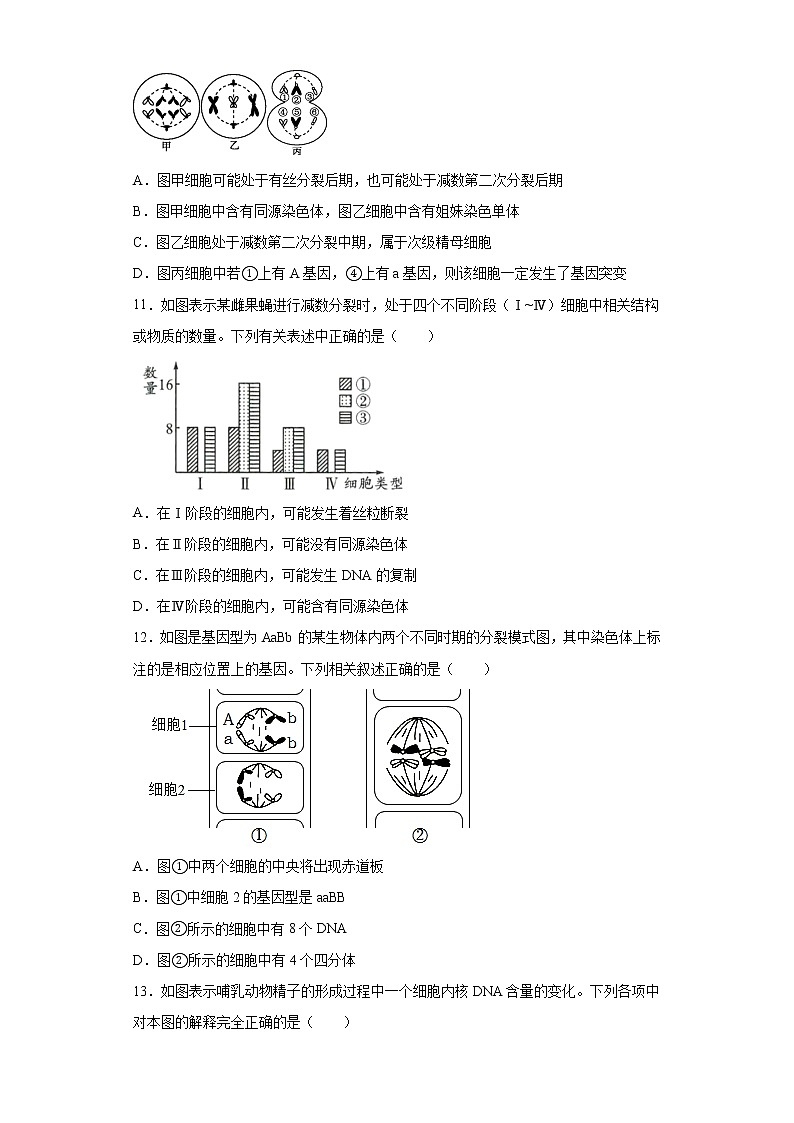 2021黄冈麻城麻城二中高一下学期期中考试生物试题含答案03