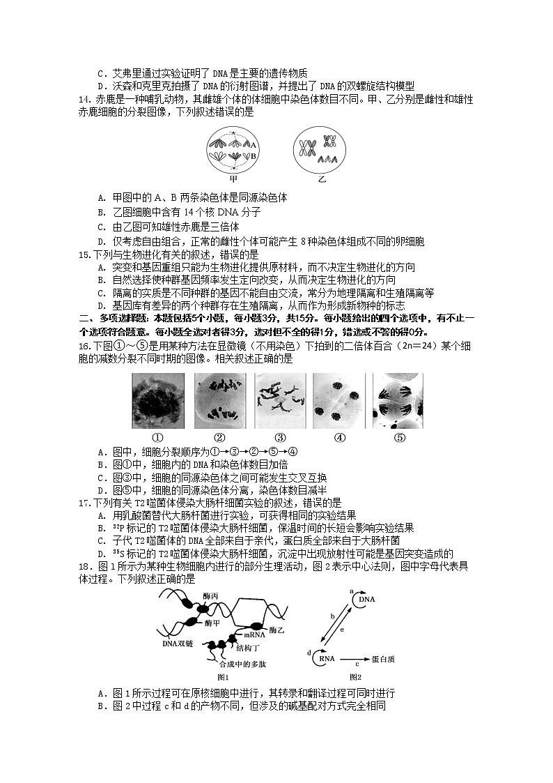 2021徐州邳州运河中学高一下学期期中考试生物试卷（实验班）含答案03