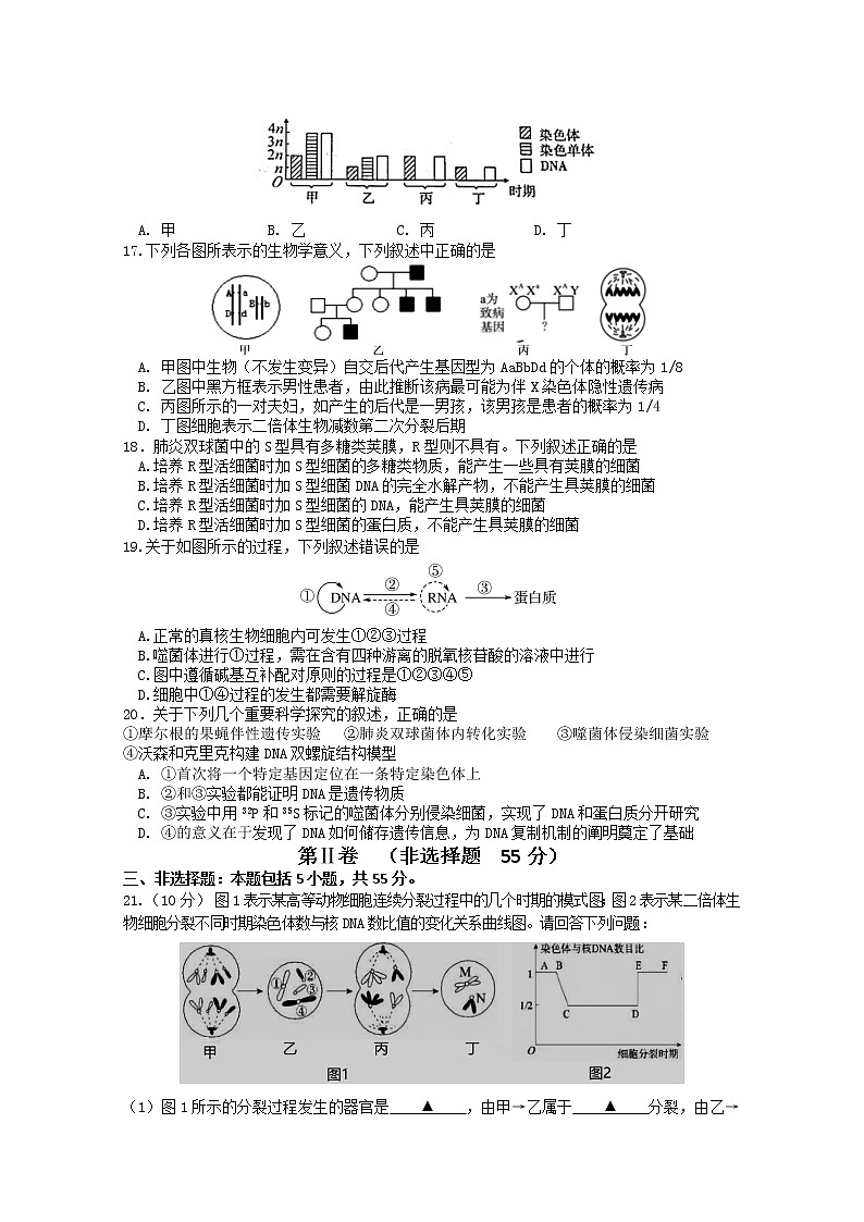 2021徐州邳州运河中学高一下学期期中考试生物试卷（普通班）含答案03