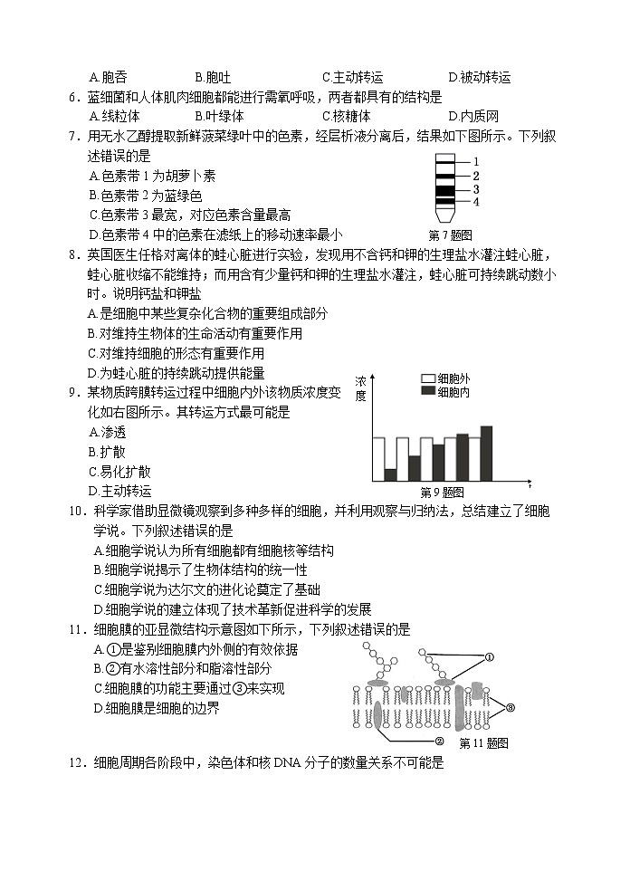 2021丽水普通高中高一上学期期末生物试卷含答案02