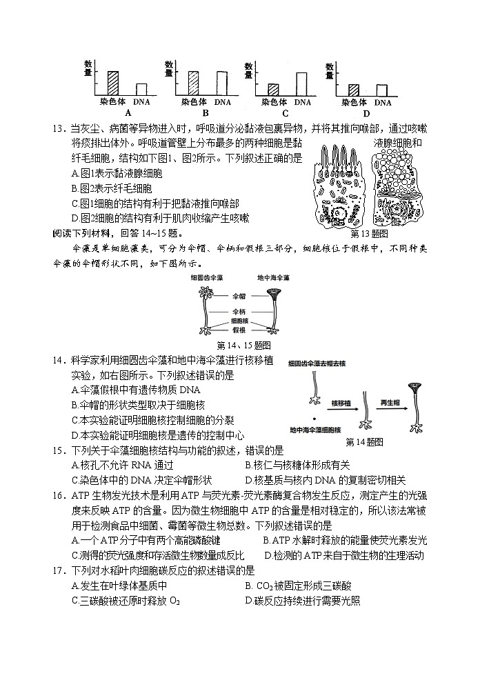 2021丽水普通高中高一上学期期末生物试卷含答案03