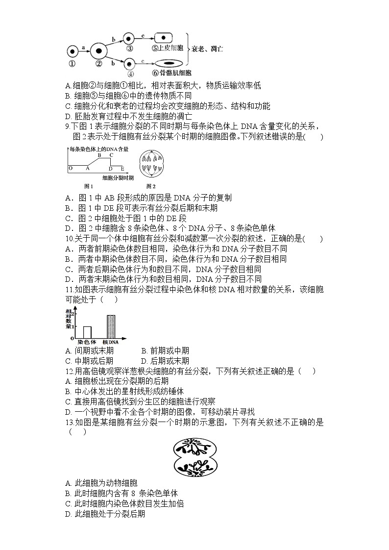 2021重庆铜梁区一中高一3月月考生物试卷含答案第2页
