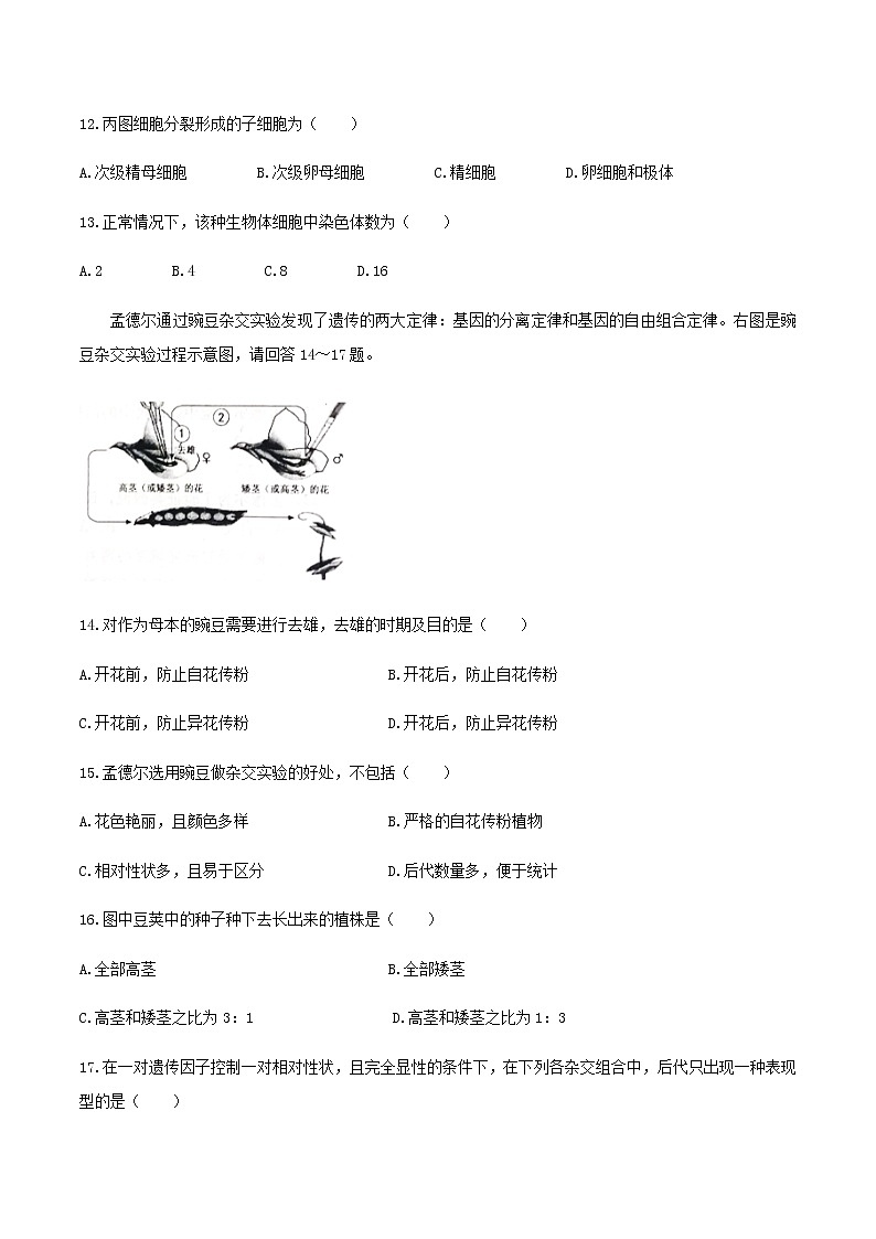 2021如皋高一下学期第一次月考生物（必修）试题含答案第3页
