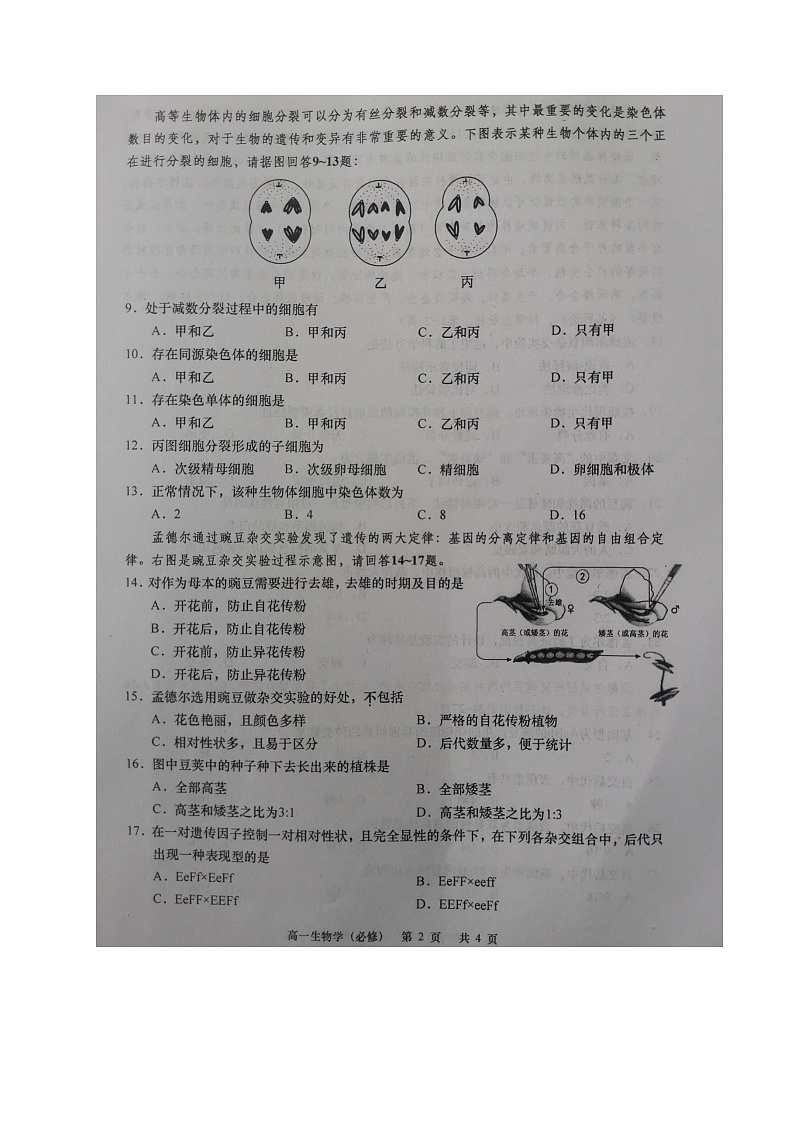 2021如皋高一下学期第一次月考生物（必修）试题扫描版含答案02
