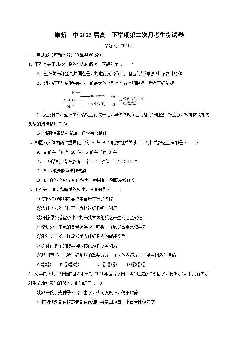 2021宜春奉新县一中高一下学期第二次月考生物试题含答案01