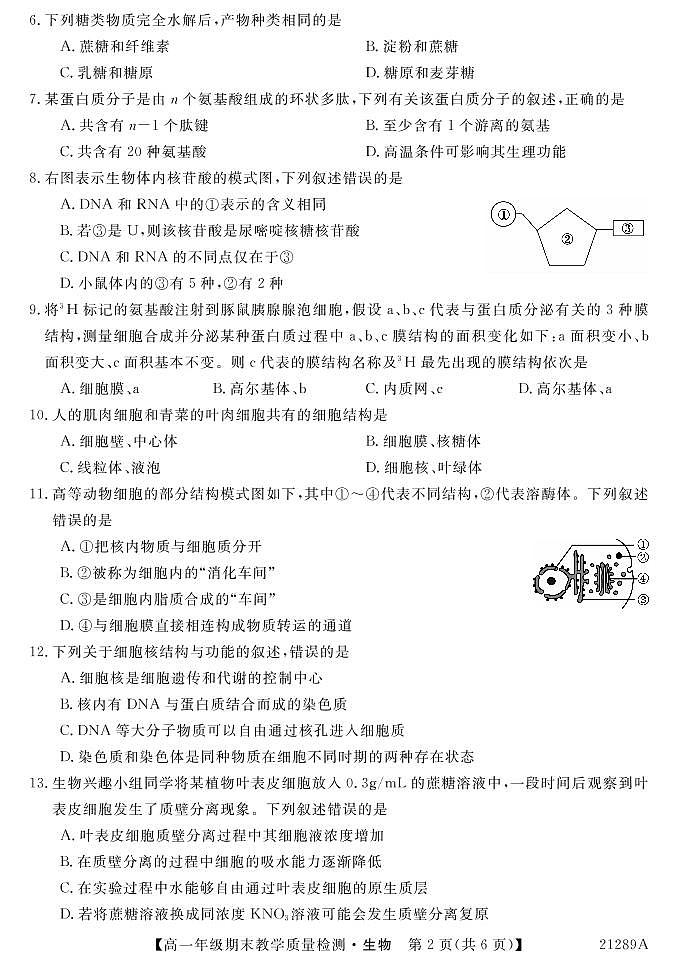 2021来宾高一上学期期末生物试题（PDF可编辑版）PDF版含答案02