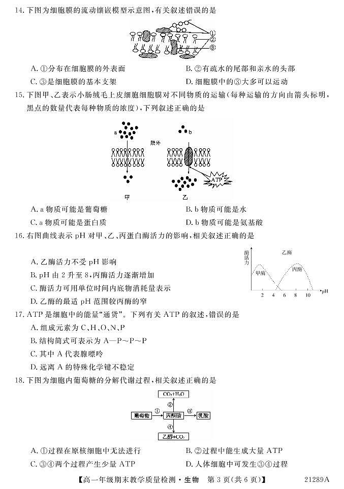 2021来宾高一上学期期末生物试题（PDF可编辑版）PDF版含答案03