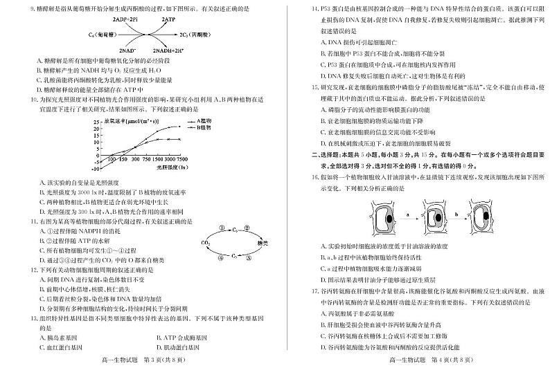 2021德州高一上学期期末考试生物试卷PDF版含答案第2页