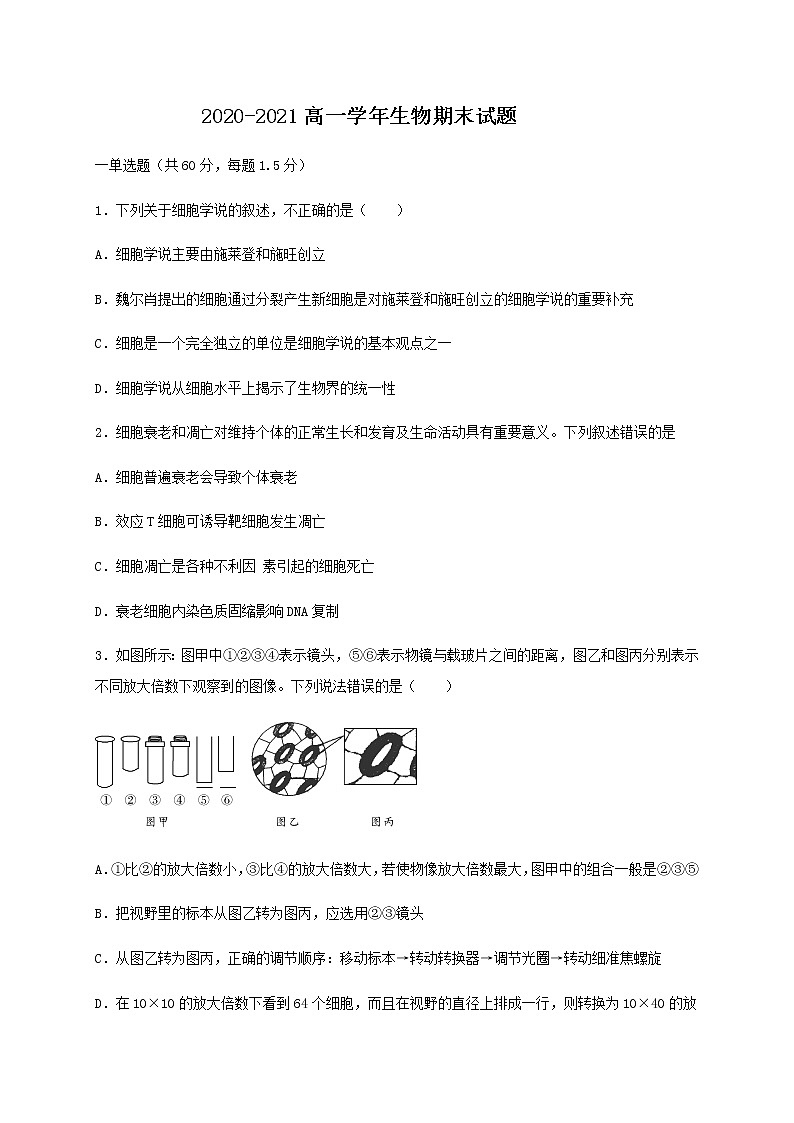 2021省牡丹江高一上学期期末考试生物试题含答案01