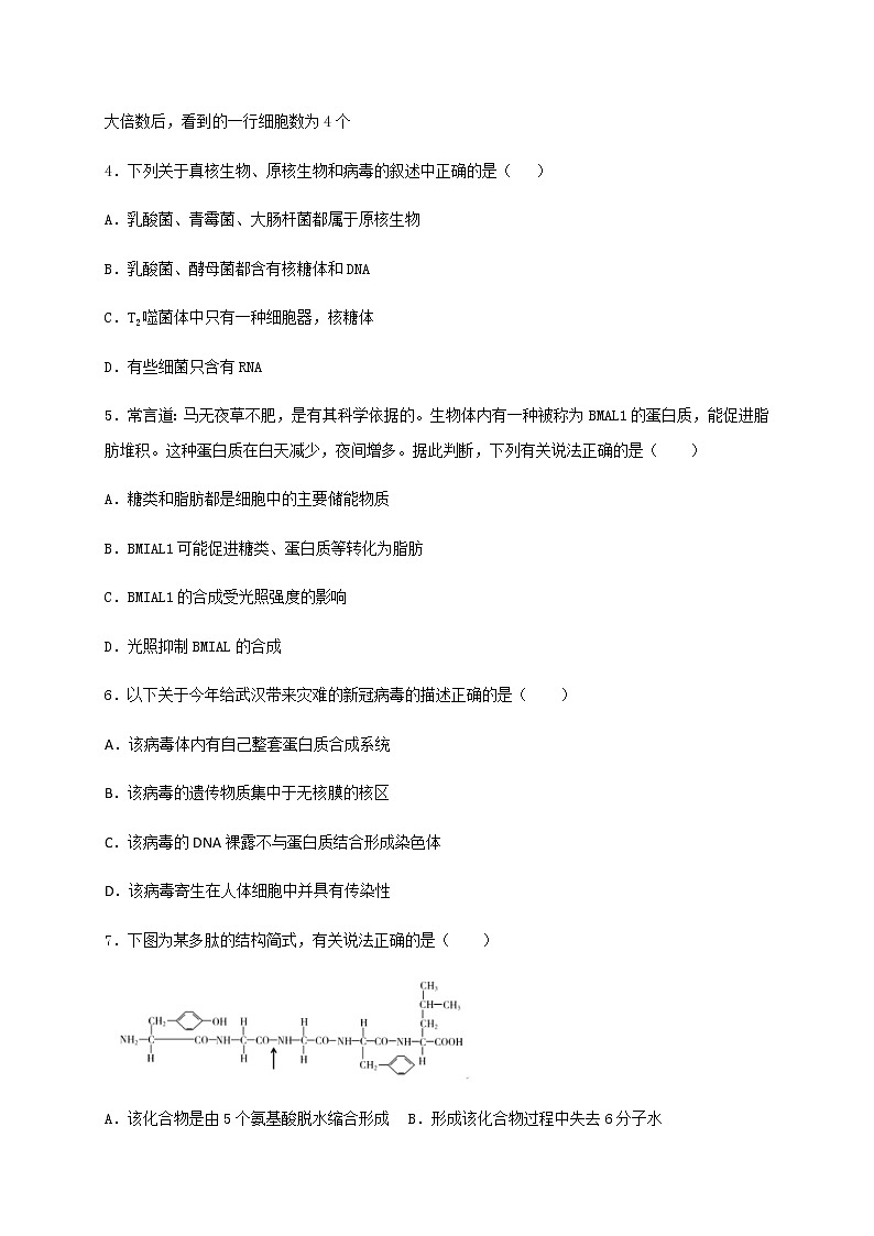 2021省牡丹江高一上学期期末考试生物试题含答案02