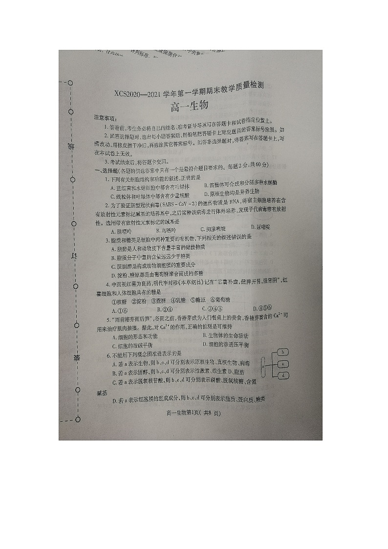 2021许昌高一上学期期末生物试题扫描版含答案01