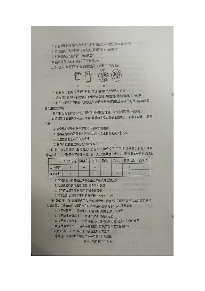 2021许昌高一上学期期末生物试题扫描版含答案03