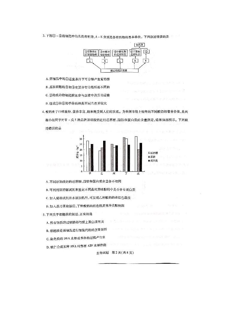 2021焦作普通高中高一上学期期末考试生物试题扫描版含答案02