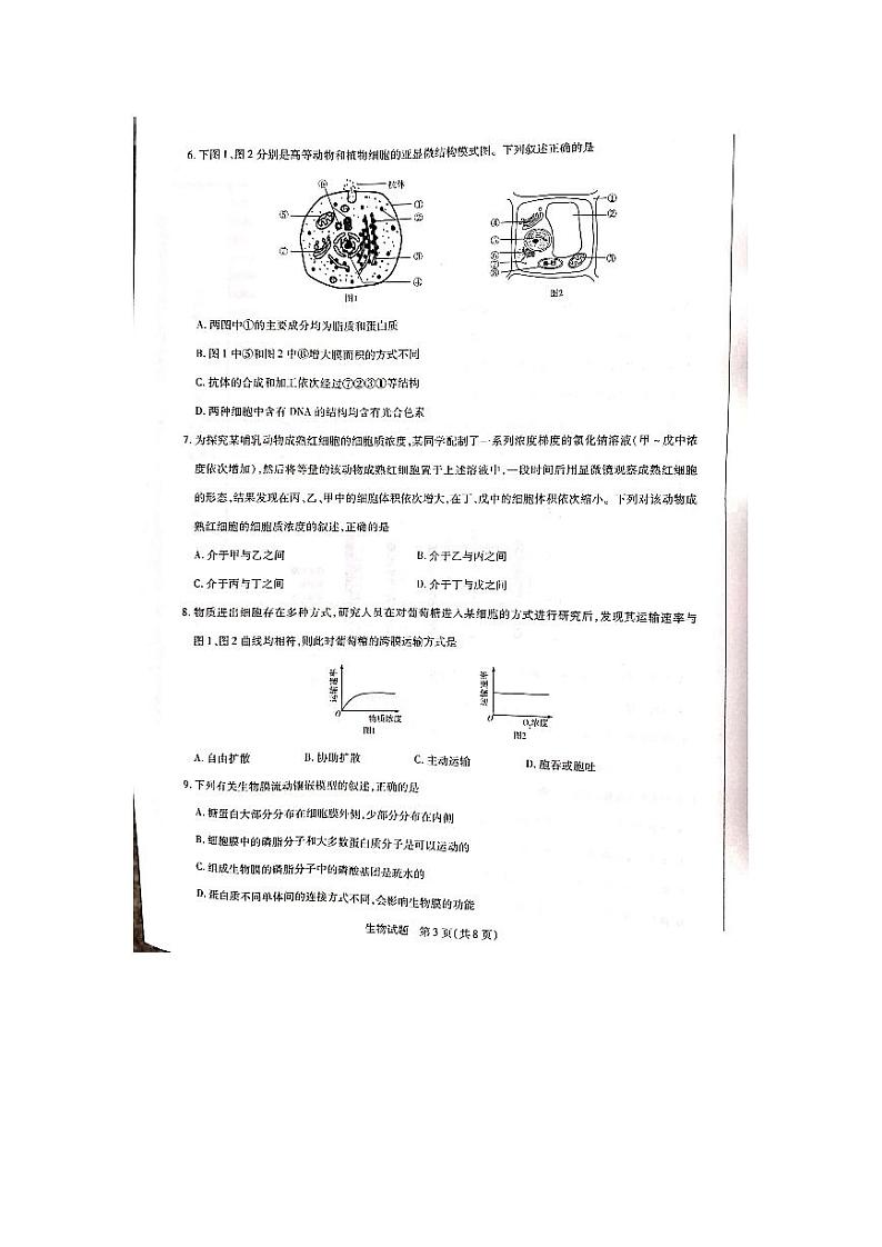 2021焦作普通高中高一上学期期末考试生物试题扫描版含答案03