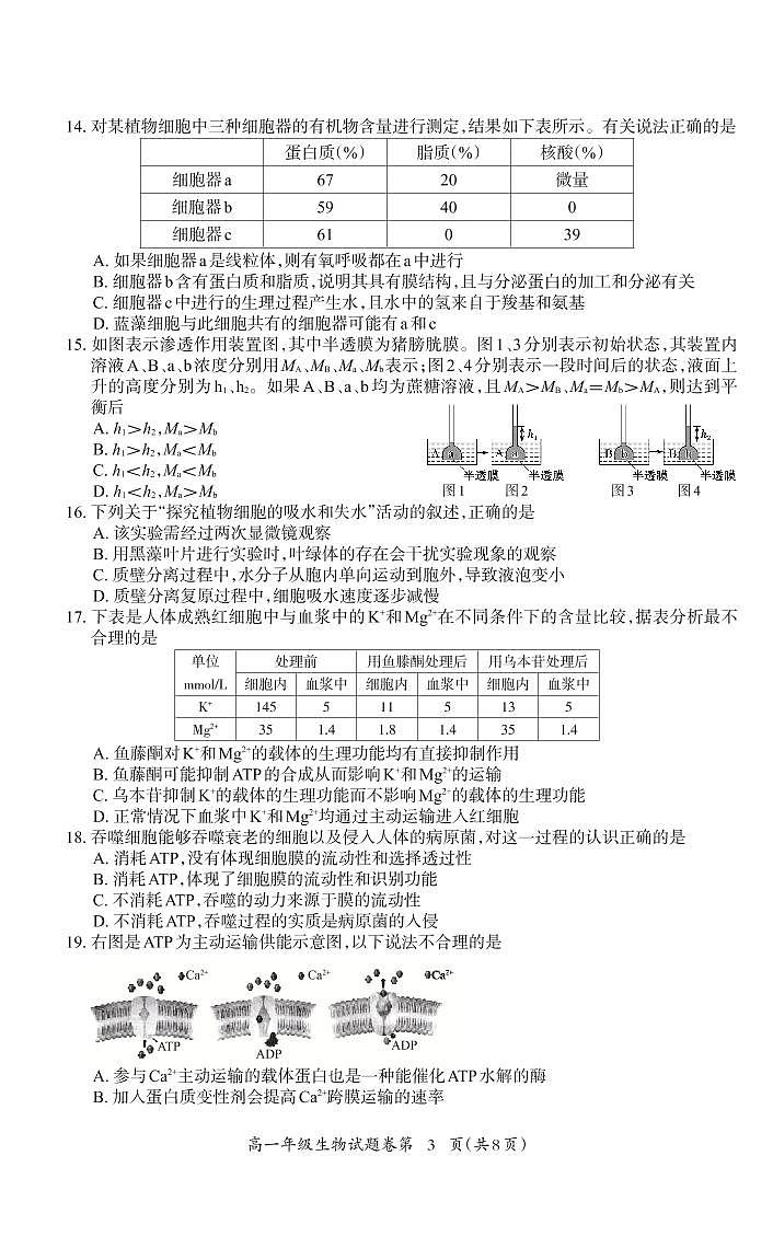 安徽省安庆市2020-2021学年高一上学期期末教育教学质量监控生物试题第3页